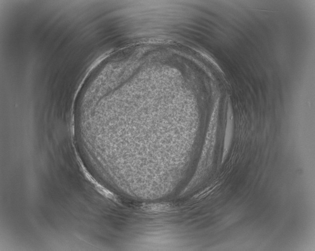 X0000052981095200508051034