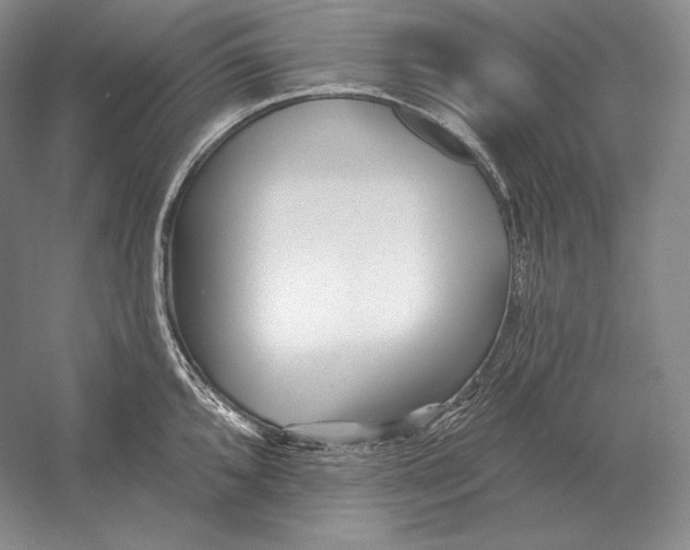 X0000052981096200508051034