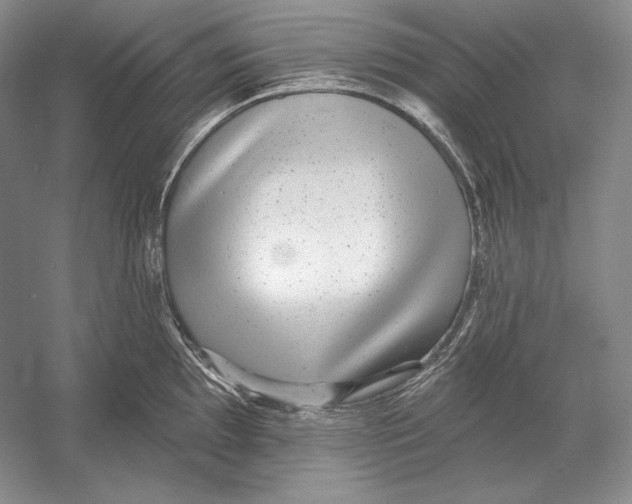 X0000052981097200508051034