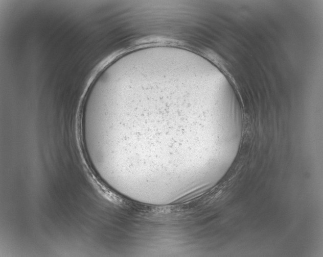 X0000052981098200508051034