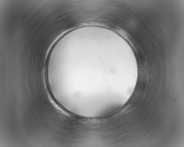 X0000052981100200508051034