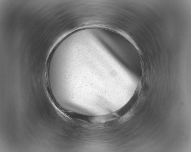 X0000052981101200508051034