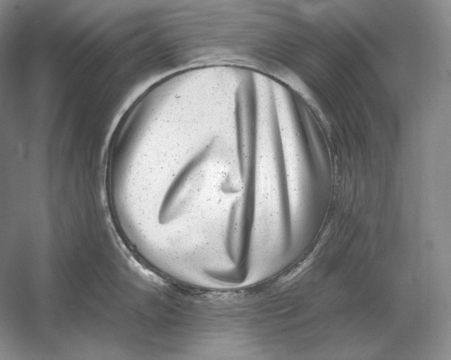 X0000052981102200508051034