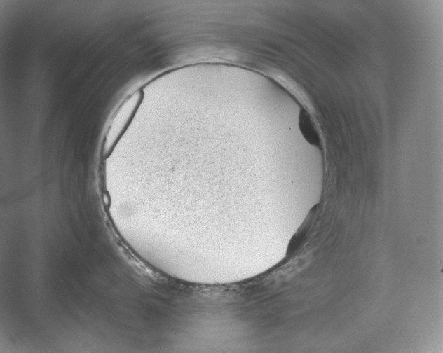 X0000052981104200508051034