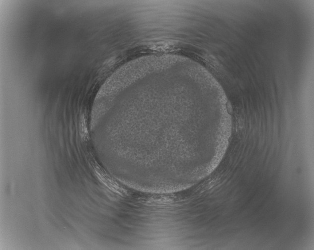 X0000052981106200508051033