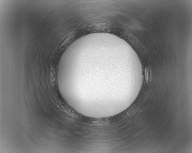 X0000052981107200508051033