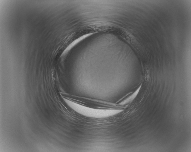 X0000052981108200508051033