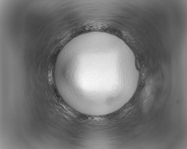 X0000052981109200508051033