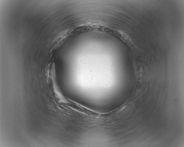 X0000052981110200508051033