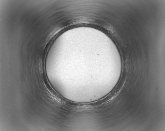 X0000052981113200508051033