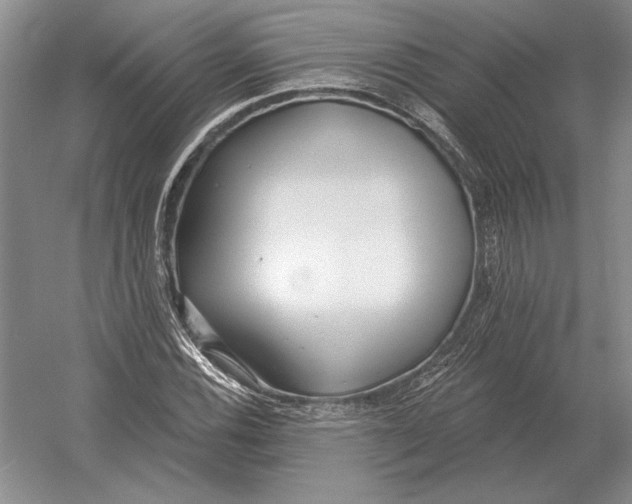 X0000052981116200508051034