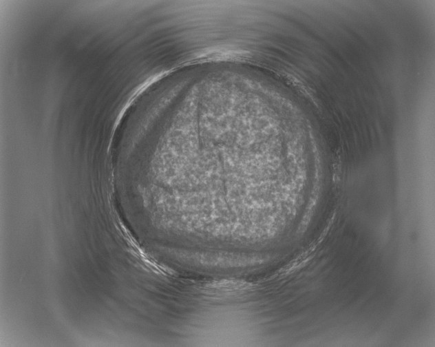 X0000052981117200508051034