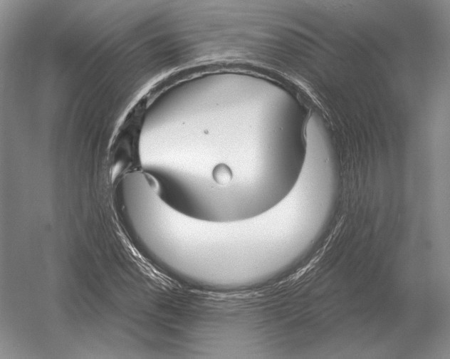 X0000052981118200508051034