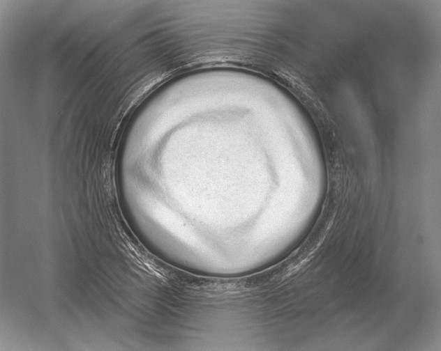 X0000052981121200508051034