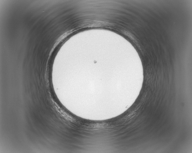 X0000052981122200508051034