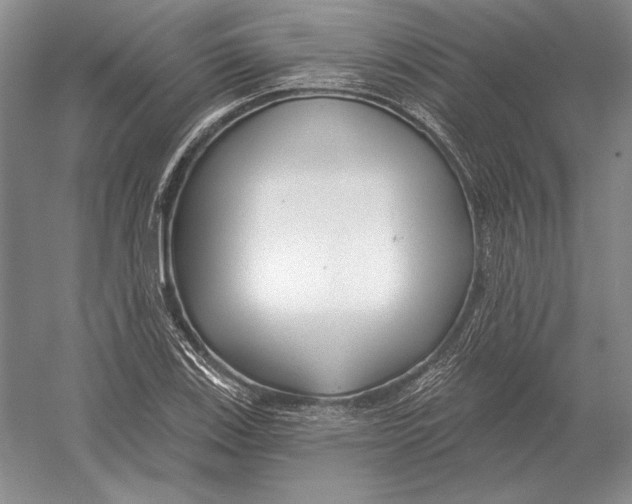 X0000052981123200508051034