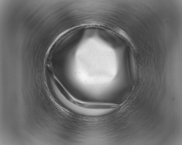 X0000052981124200508051034