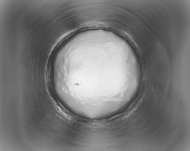 X0000052981125200508051034