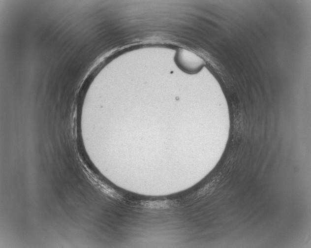 X0000052981126200508051034