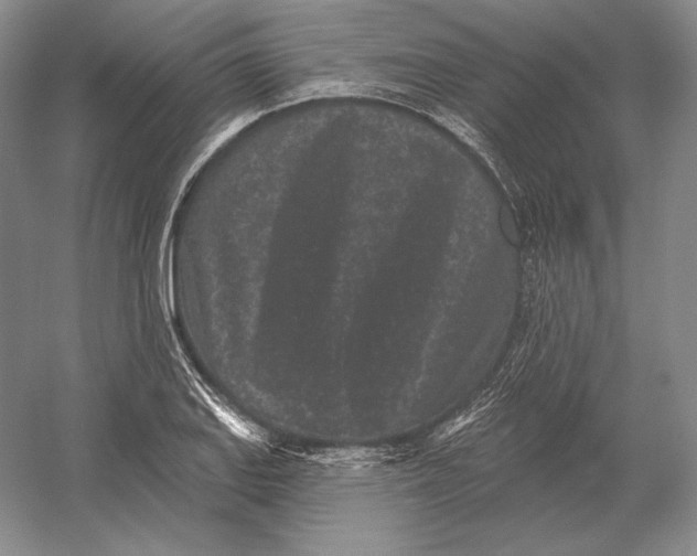 X0000052981127200508051034