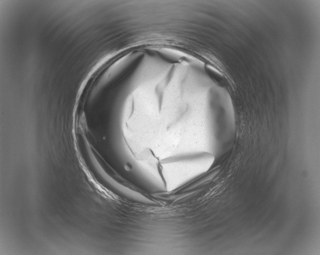 X0000052981128200508051034