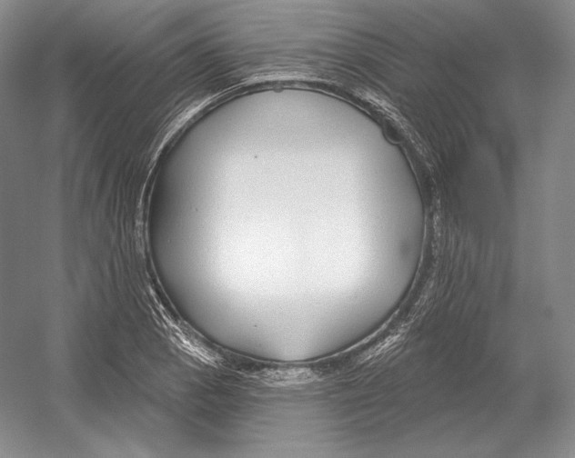 X0000052981129200508051034