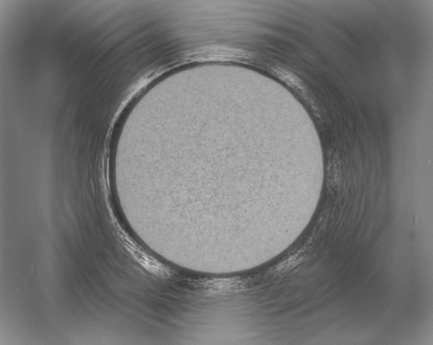 X0000052981130200508051034