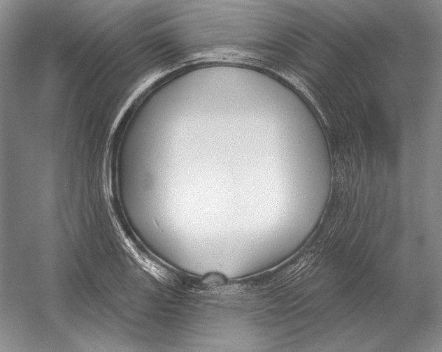 X0000052981131200508051034