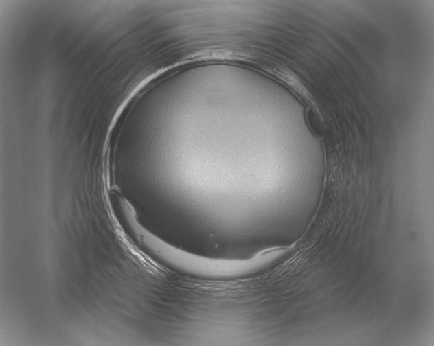 X0000052981132200508051034