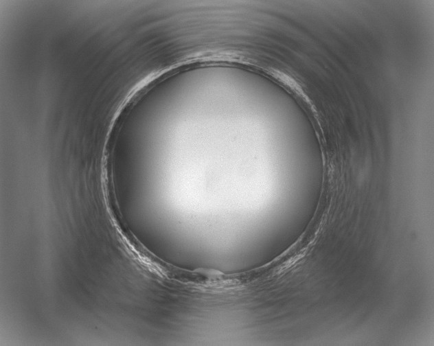 X0000052981133200508051034