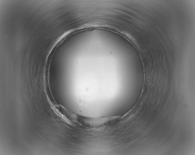 X0000052981134200508051034