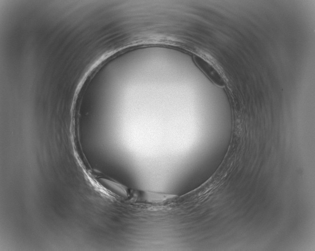 X0000052981136200508051034