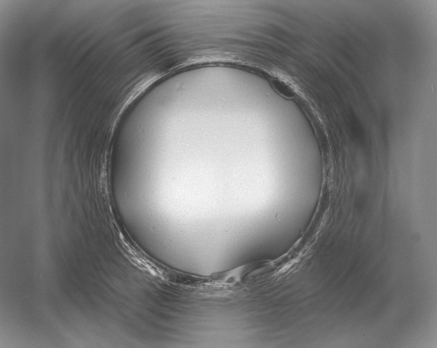 X0000052981137200508051034