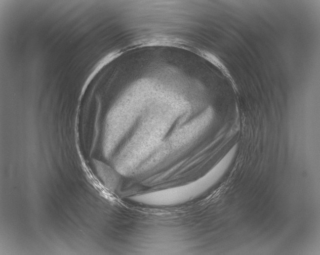 X0000052981138200508051034