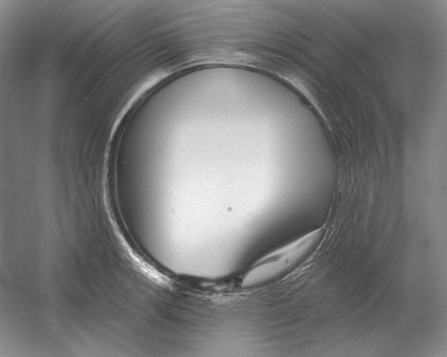 X0000052981139200508051034