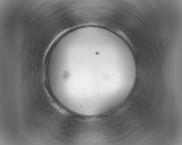 X0000052981140200508051034