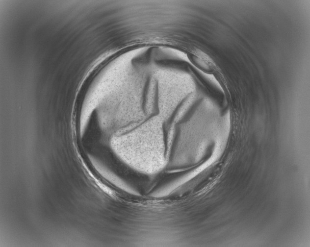 X0000052981141200508051034