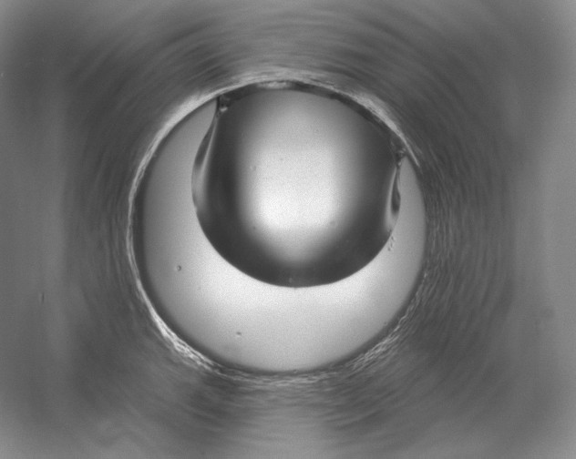 X0000052981143200508051034