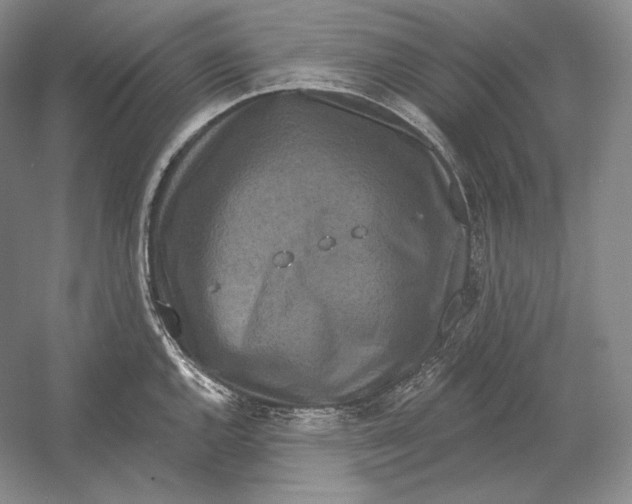 X0000052981144200508051034