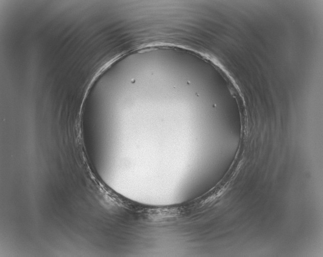 X0000052981145200508051034