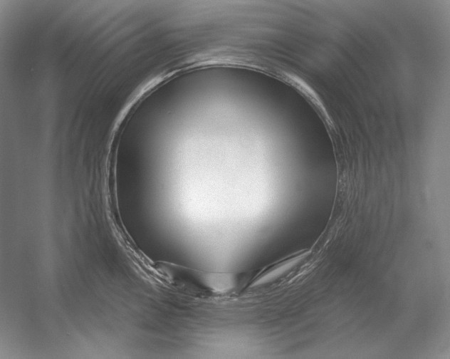 X0000052981146200508051034