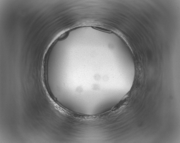 X0000052981147200508051034