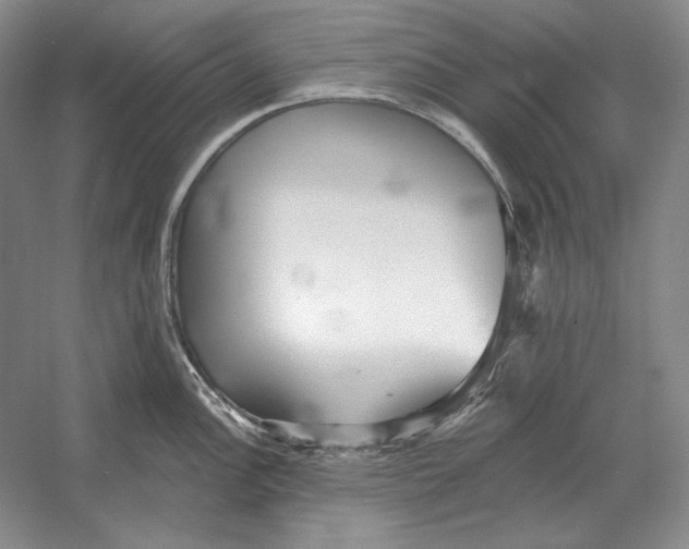 X0000052981148200508051034