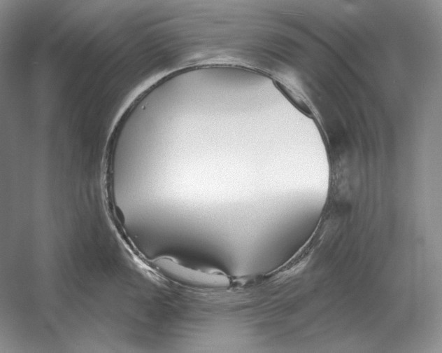 X0000052981149200508051034