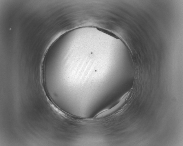 X0000052981151200508051034