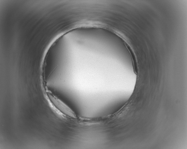 X0000052981152200508051034