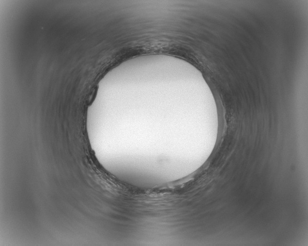 X0000052981153200508051033