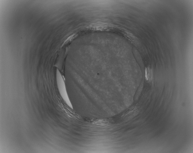 X0000052981155200508051033