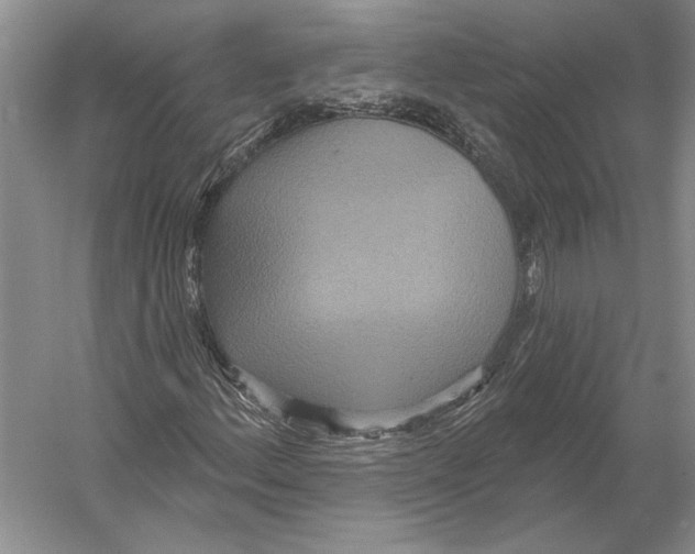 X0000052981156200508051033