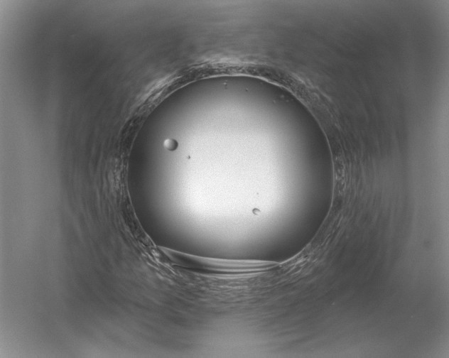 X0000052981157200508051033